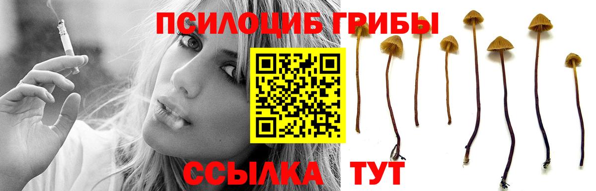 Галлюциногенные грибы мухоморы Зерноград