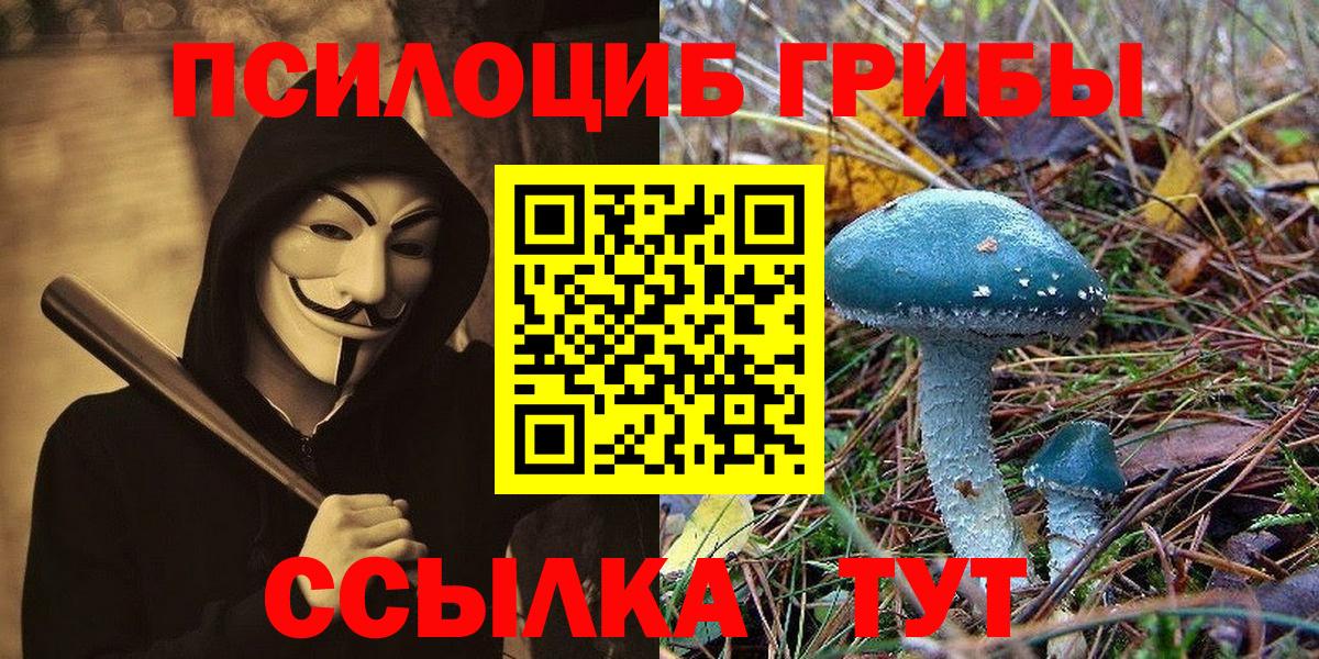 Галлюциногенные грибы Psilocybe  Вход с VPN  Псилоцибиновые грибы Magic Shrooms  закладки  Зерноград 